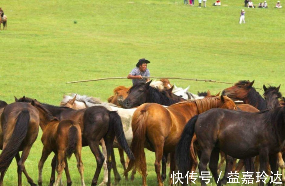 蒙古包|为什么住蒙古包时，主人会把红绳放在地上？为什么要这么做？