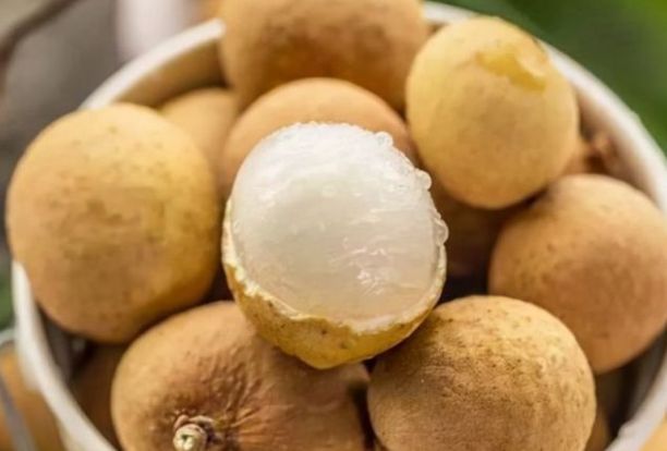 发财果|孩子希望自己拥有健康好身体,经常吃3种长寿果,寓意寿比南山