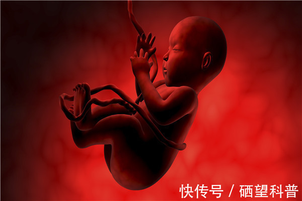 好处|孕晚期补锌有什么好处?手把手教给准妈妈们怎么快速补锌