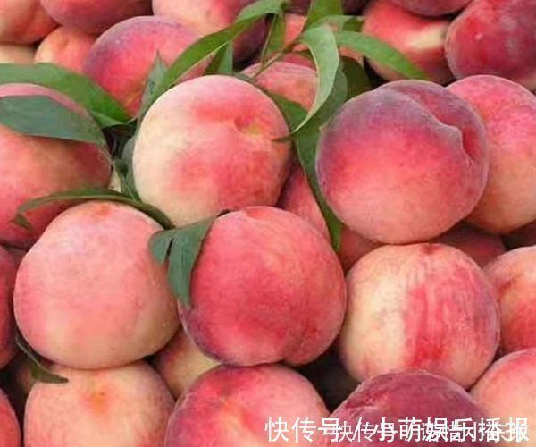 消化科|消化科医生劝告4种水果尽量少吃,越吃免疫力越低不妨了解下