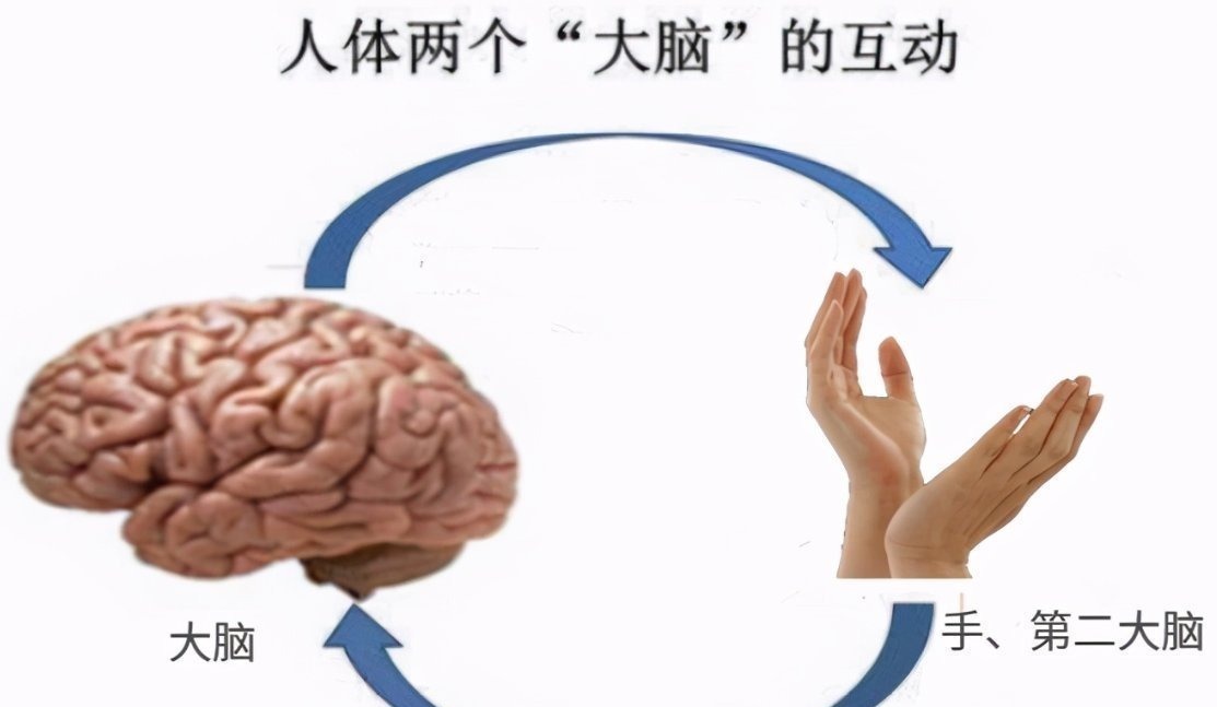 孩子|哈佛研究发现:家里这3个地方越乱,娃大脑越发达,父母别太勤快