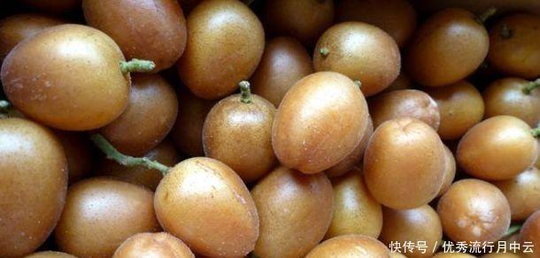 北方地区|南方农村有一种野果,烂在树上,但北方人却从来没有吃过