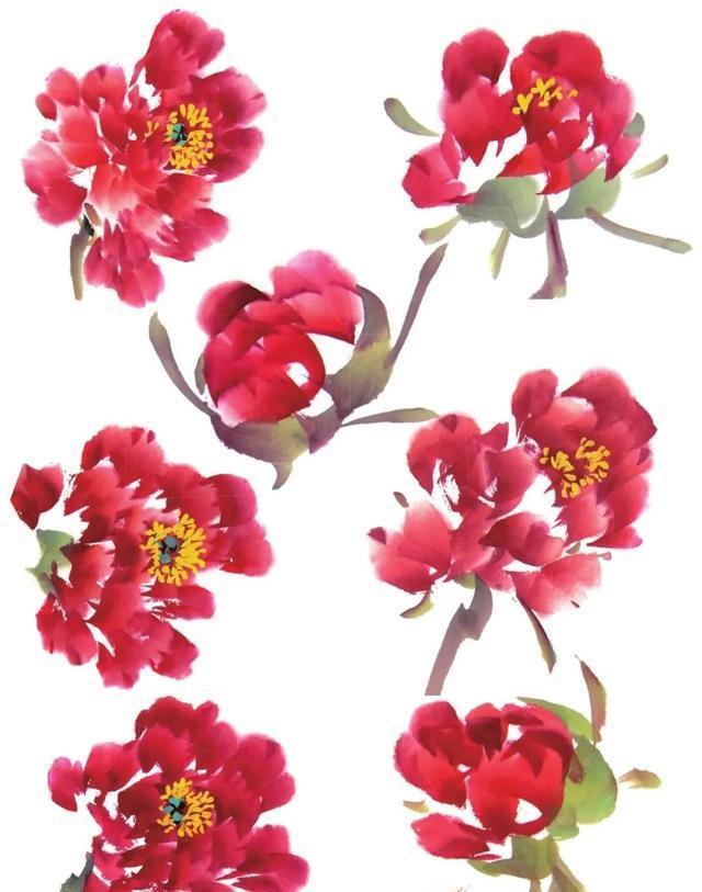 形态|紫、红牡丹花头写意画法与形态参考