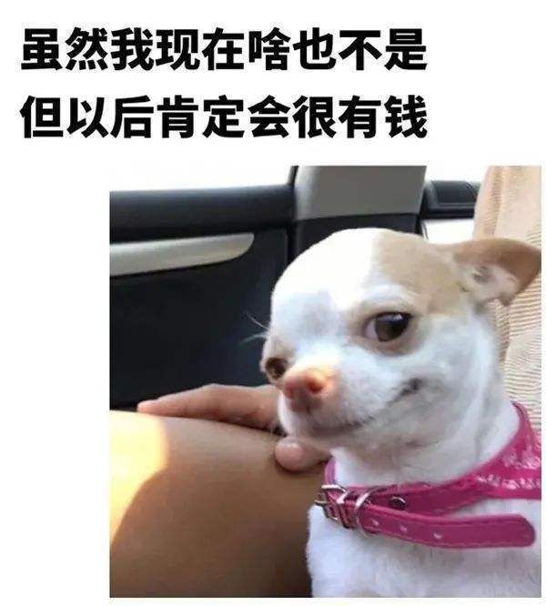 |幽默段子：我这个人长得很成熟，结果引起了不少笑话