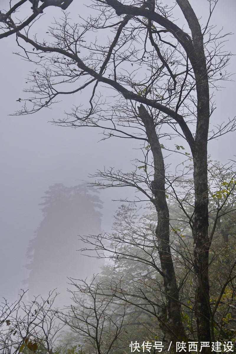 黄山|薄云浓雾游黄山宛若仙境【严建设】