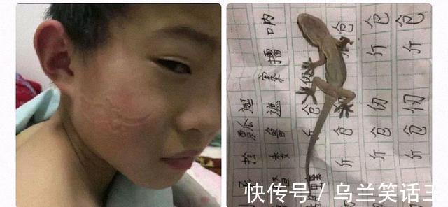 |小白段子社34:这两拨人打架,哪边的胜率更大?