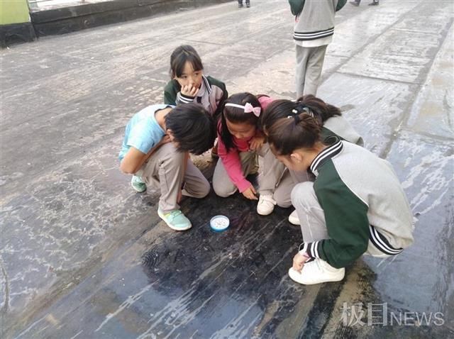 这所小学里竟藏了一座生态园，学生：没想到可以在学校养鱼