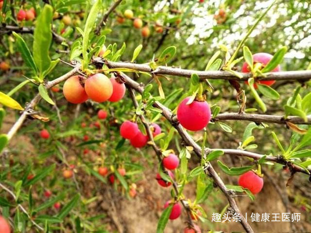 女性不想老太快，3种食物别放过，消除疲劳，延缓衰老，不妨一试