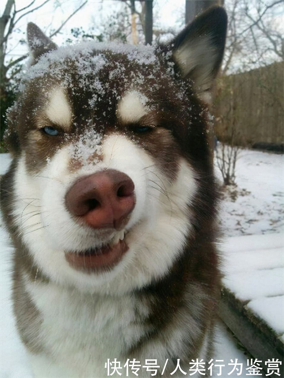 |幽默笑话:我妈说“你为啥不能?你是活到一半死了吗?”