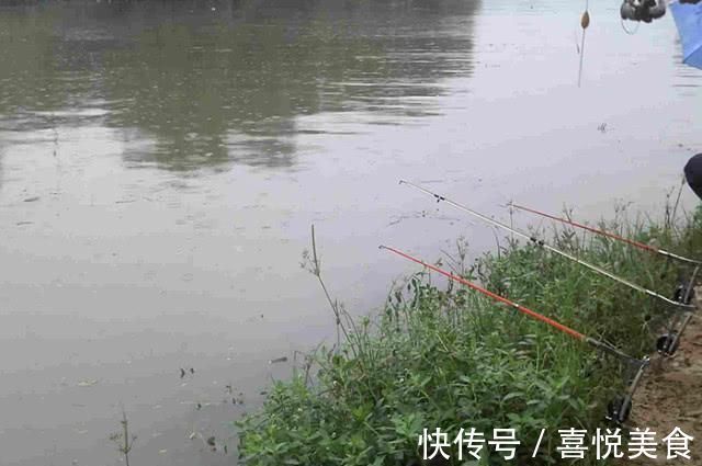秘籍|钓不到大鱼的钓友看过来,掌握这套秘籍,钓到大鱼几率会很高