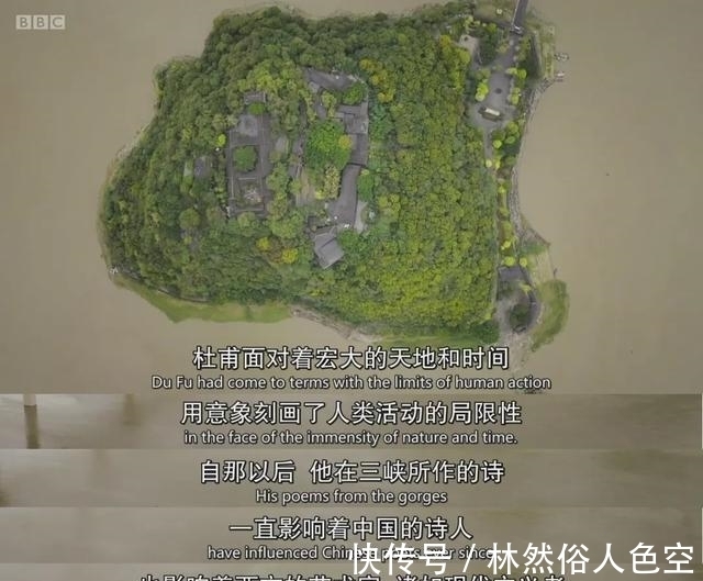 李龟年|中国最伟大诗人杜甫,何以在2020年走红世界?