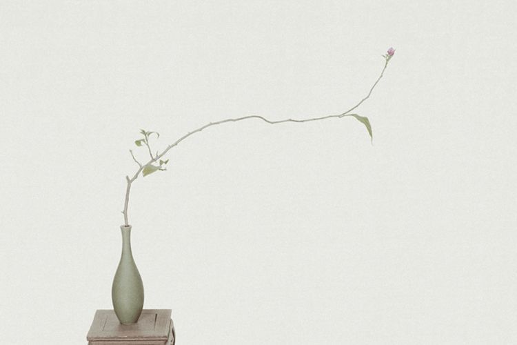 脾主涎|早起三不要,饭后三不急,睡前三不宜