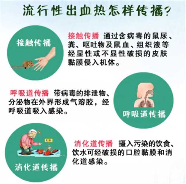 hfrs|草莓“背锅”？丨发烧、头疼高发季，还需警惕出血热