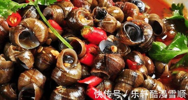 田螺|买田螺自己炒,汤汁鲜美,跟家人一起嗦美味的田螺