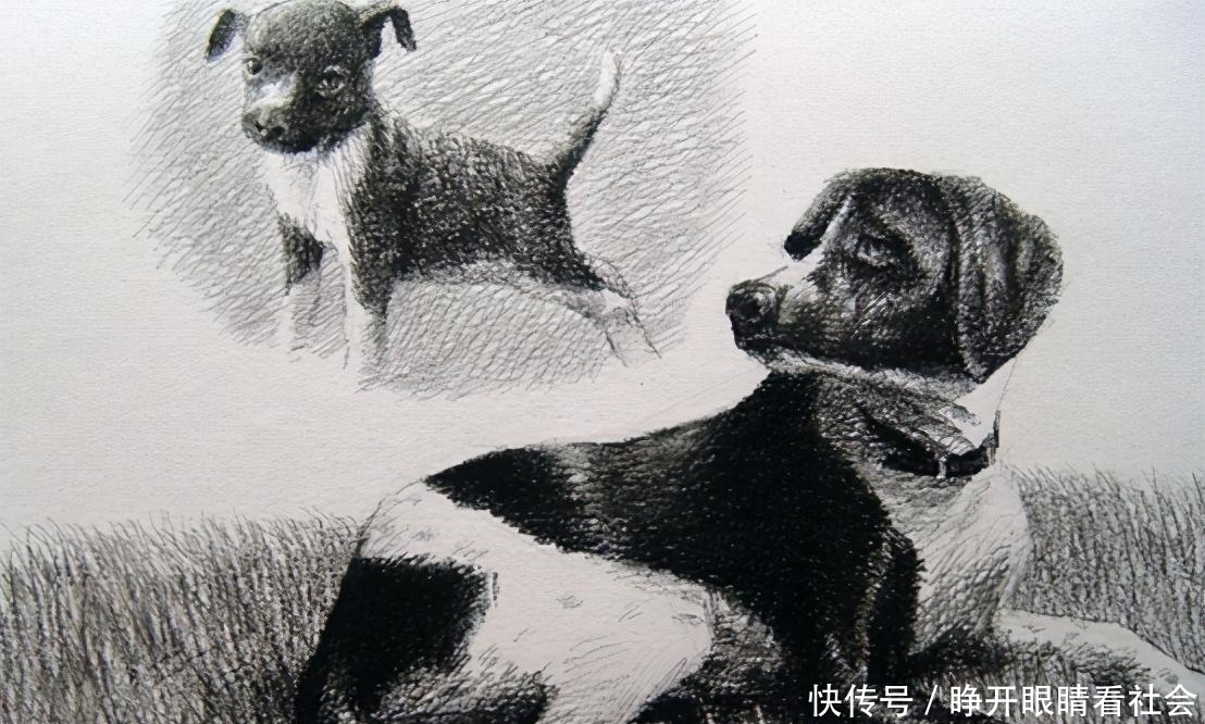 权倾天下|狗、狗肉、狂犬病与人类: 权倾天下的吕后怎会死于狂犬病?