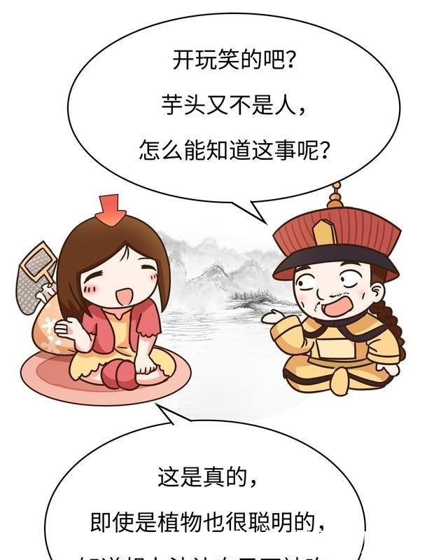 明知道芋头“有毒”,为什么我们还是芋罢不能