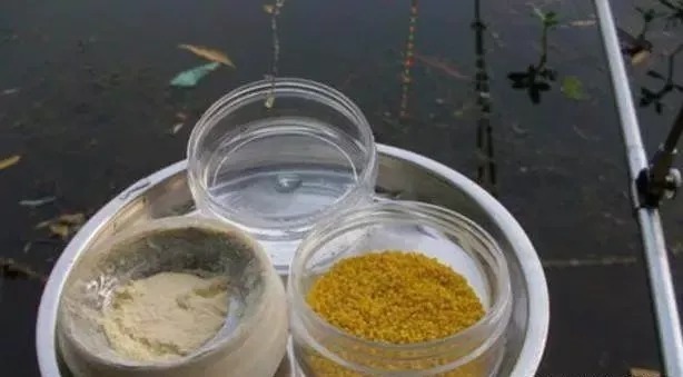 饵料好不好用，全靠状态饵调节！这4种状态饵用对了，上鱼就是快