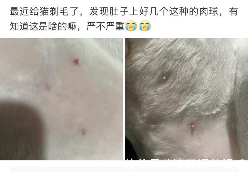 |搞笑段子：和家里介绍的妹子吃完饭了，接下来我该怎么办啊？