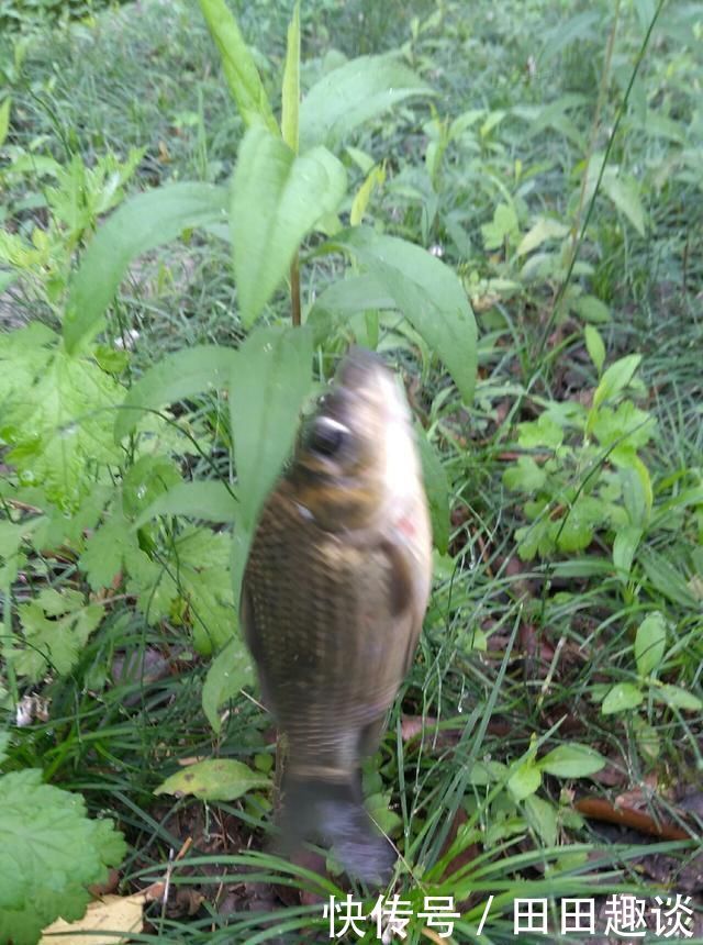 野钓小技巧浮漂做一个小改动,惊鱼几率大降