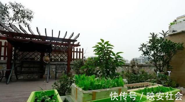 露台|晒晒我的新房,顶楼送个大露台种菜,这样的城市田园生活太幸福了