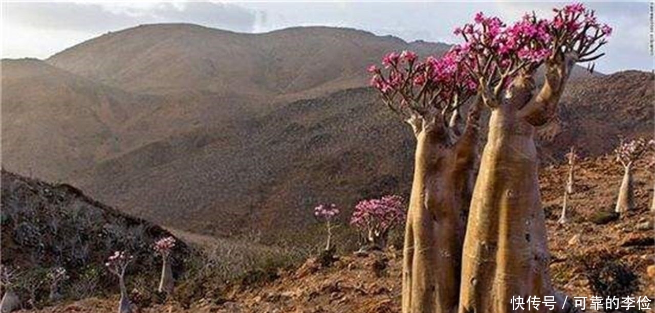 城市 地球上最孤立的地方:一个只有500人居住,一个是最高的城市