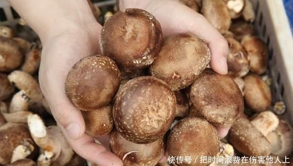 洗净香菇时,不要只用清水,厨师给你一水,让脏东西容易洗掉