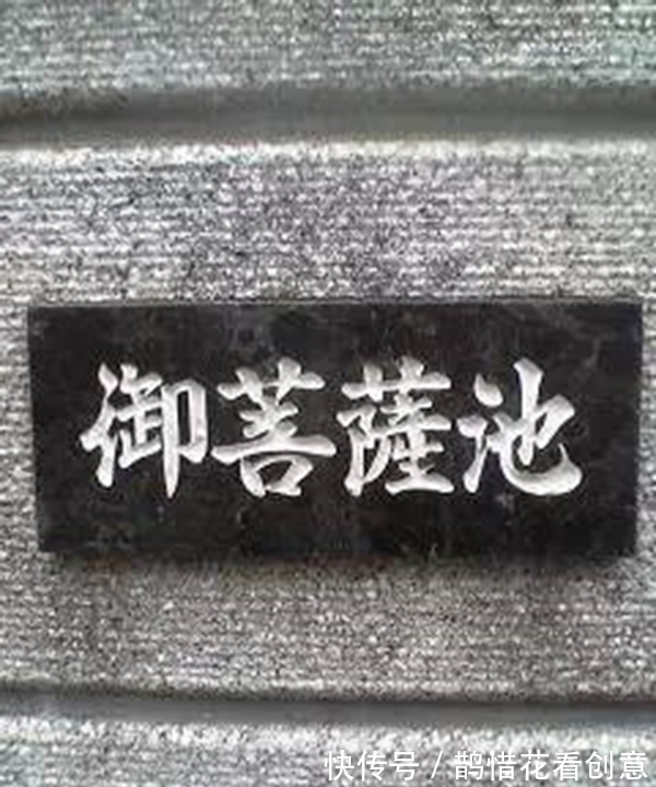 姓氏,翻译成中文十分尴尬,怎么读都像骂人