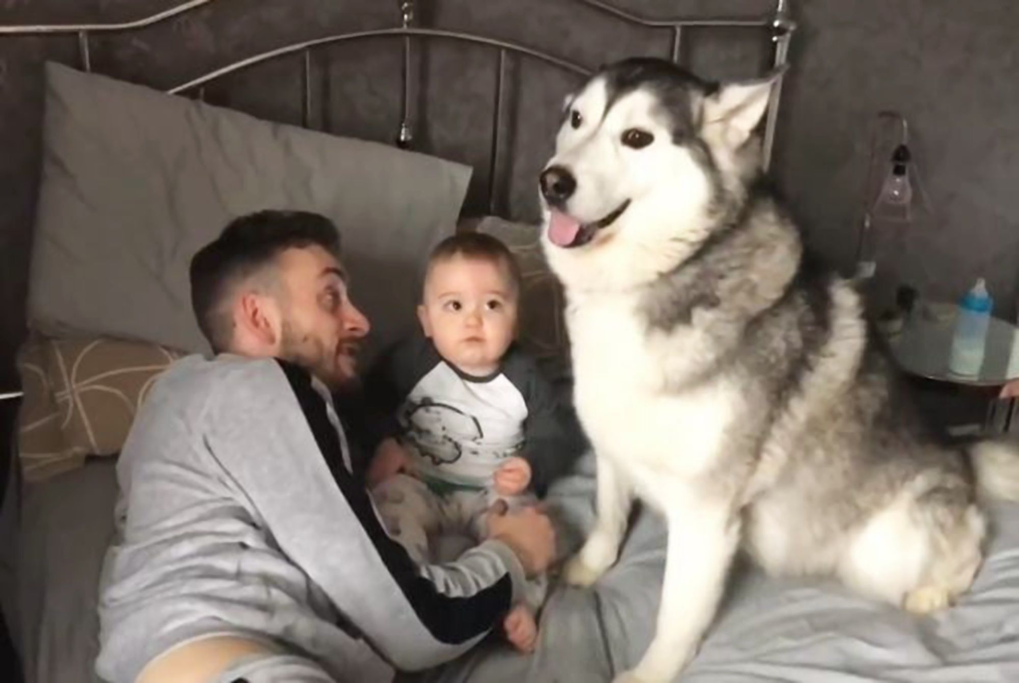 外面的世界|宝宝几个月会认人?当身体出现四大信号时,要抓紧教孩子喊妈妈