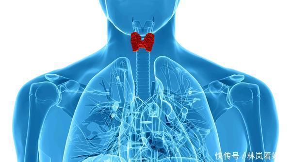 爱出汗和甲状腺有关?若身体这4个部位频繁出汗,要引起警惕!