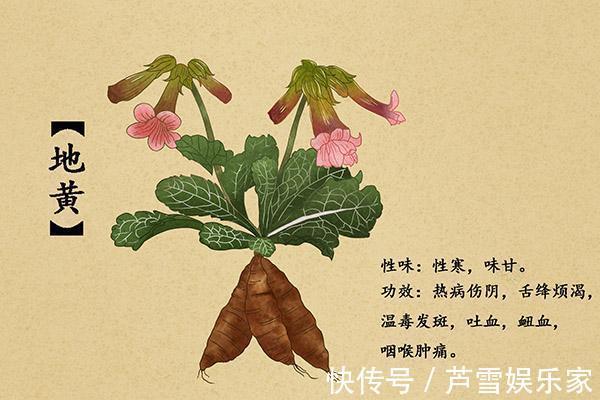 野草|农村这种野草，李时珍称它“服之面如桃花，轻身不老”！你见过么