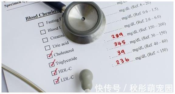 三酰甘油|血脂高的人,别怕,这3种食物,坚持早晚吃一点,血脂慢慢降下去