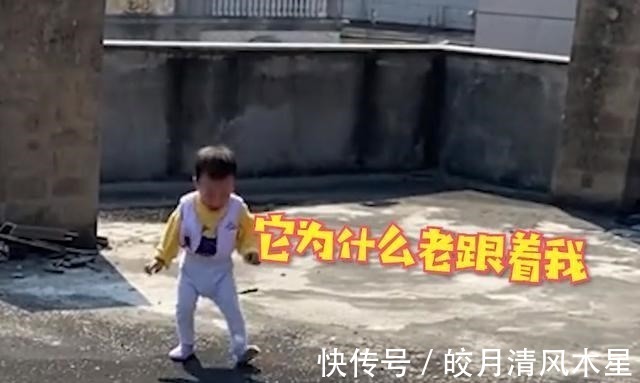 萌娃|福建一萌娃楼顶晒太阳,却被自己影子吓得崩溃大哭,妈妈反应亮了