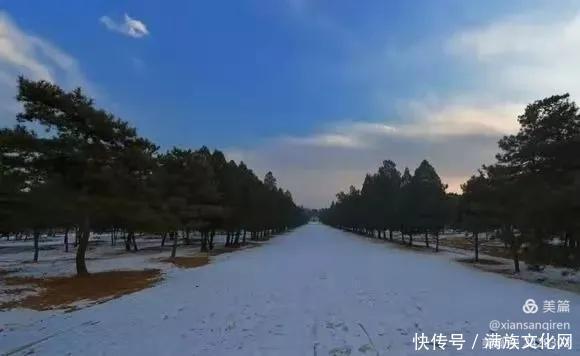 冬日的清西陵等你来看雪