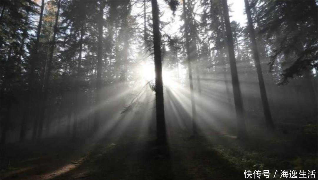 意境|王维最有意境的一首诗,只有短短的20个字,但是胜过了千言万语