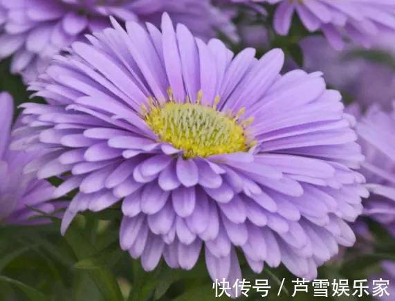 脚踏地&人若恶毒,众叛亲离;人若善良,价值不菲