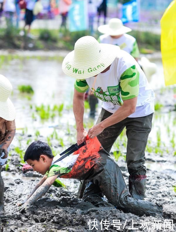 稻田|亲子下地插秧、田间搭灶做饭,还能在稻田里蛙泳……泥娃娃们,带着爸妈冲鸭