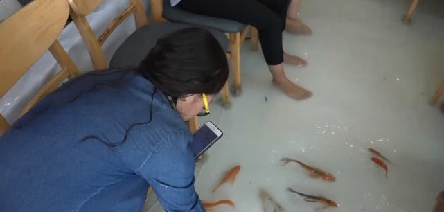 咋办|越南最特殊的咖啡厅,地板上养锦鲤,网友有脚气咋办