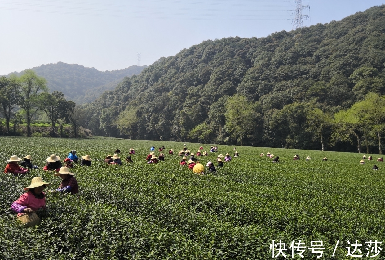 郑板桥$深藏在诗词风雅里的十首绝美茶诗