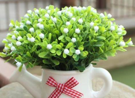 土壤|花都是浇死的1分钟学会如何判断盆土是否需要浇水了