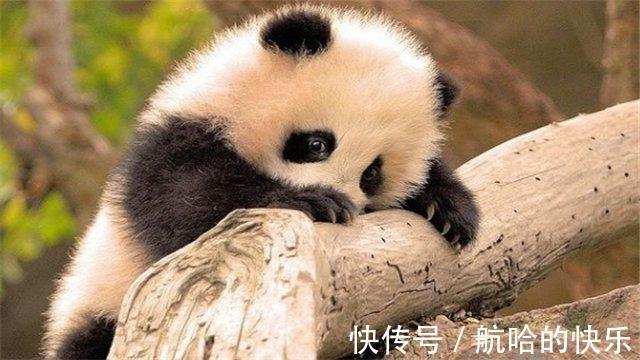 雷人$网络小说5个雷人桥段:网友:作者都没有常识的吗?太好笑了