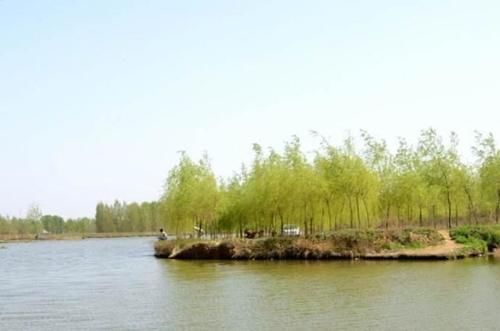 疯狂|泥鳅钓鱼,这才是真正一天百十斤的疯狂钓法