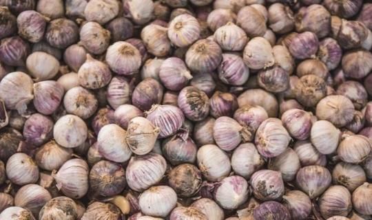 食物|吃大蒜后一小时内不要碰两种食物,很多人不清楚,告诉周围的人!