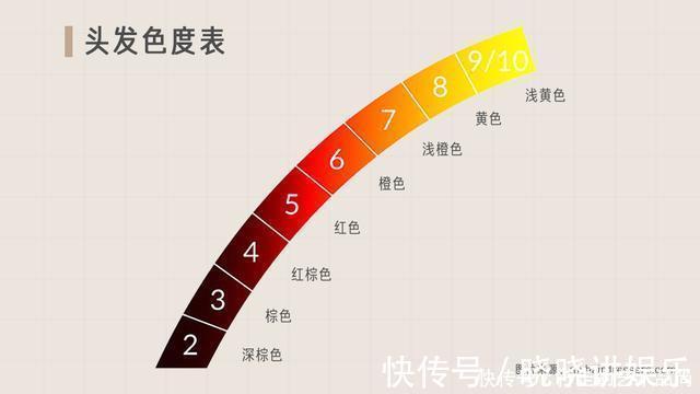 托尼老师|为什么托尼老师染发这么贵丨回形针