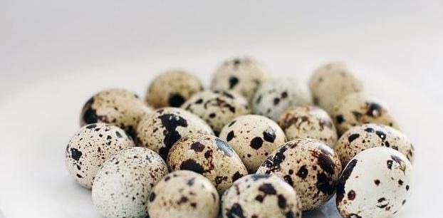 鹌鹑蛋|天然“养肾王”找到了，男性每天吃点，补足肾气，肾脏更健壮！