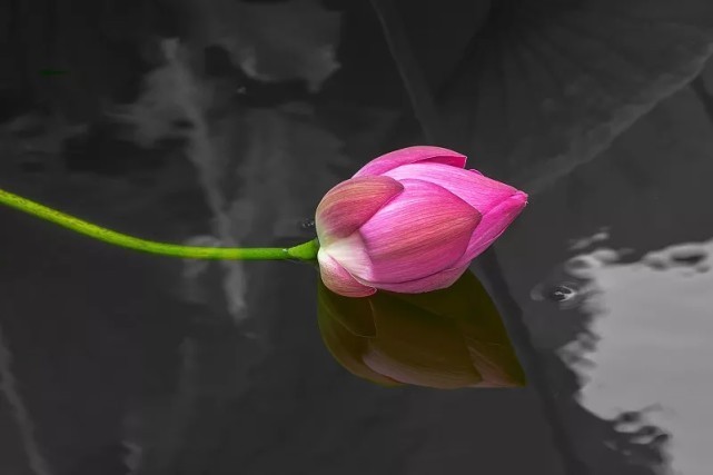 赚一笔|12月28日-1月15日,福气吉祥,步步顺利,日子甜蜜美满的3大生肖