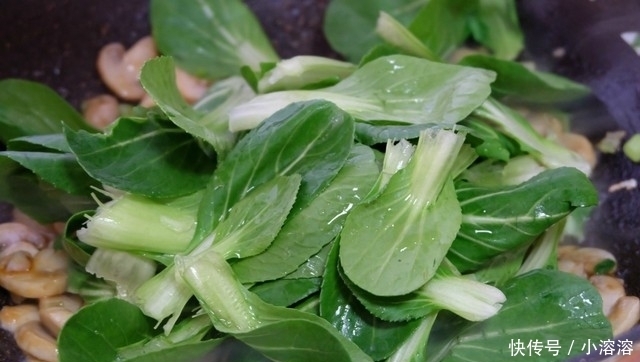 生抽酱油|口蘑这个做法好,简单易学的快手家常菜,清爽鲜嫩,热量低不怕胖