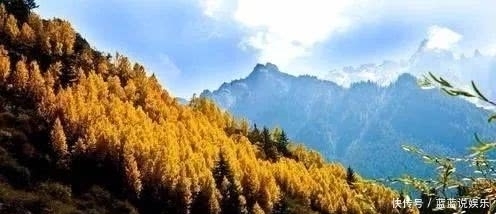 石家斗富|凉州诗词 听歌者琵琶