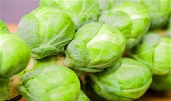 骨胶原|30岁女性常吃的四种食物，排毒消脂抗衰老，清理肠胃，越吃越瘦