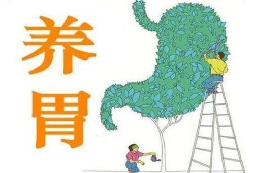 胃部|常喝山药粥可以养胃吗?提示:若想呵护肠胃,2种“粗粮”要少吃