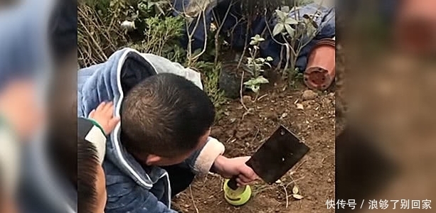过节了,舅舅要杀鸡待客,外甥抬手就是几巴掌,哭笑不得